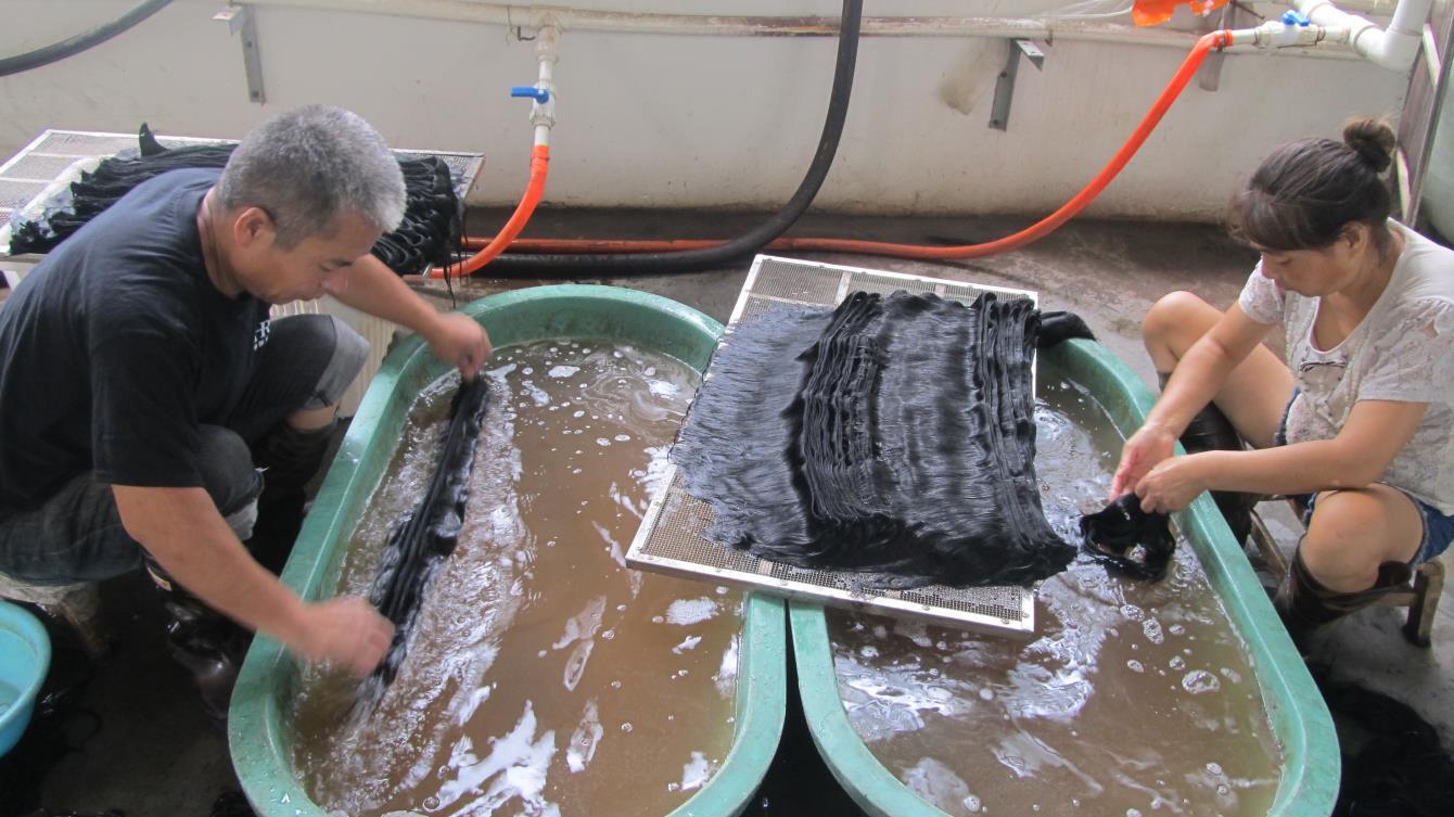 Washing & Deep Cleansing